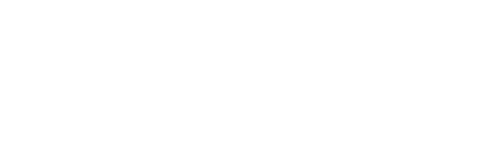 WALLY-logo 1